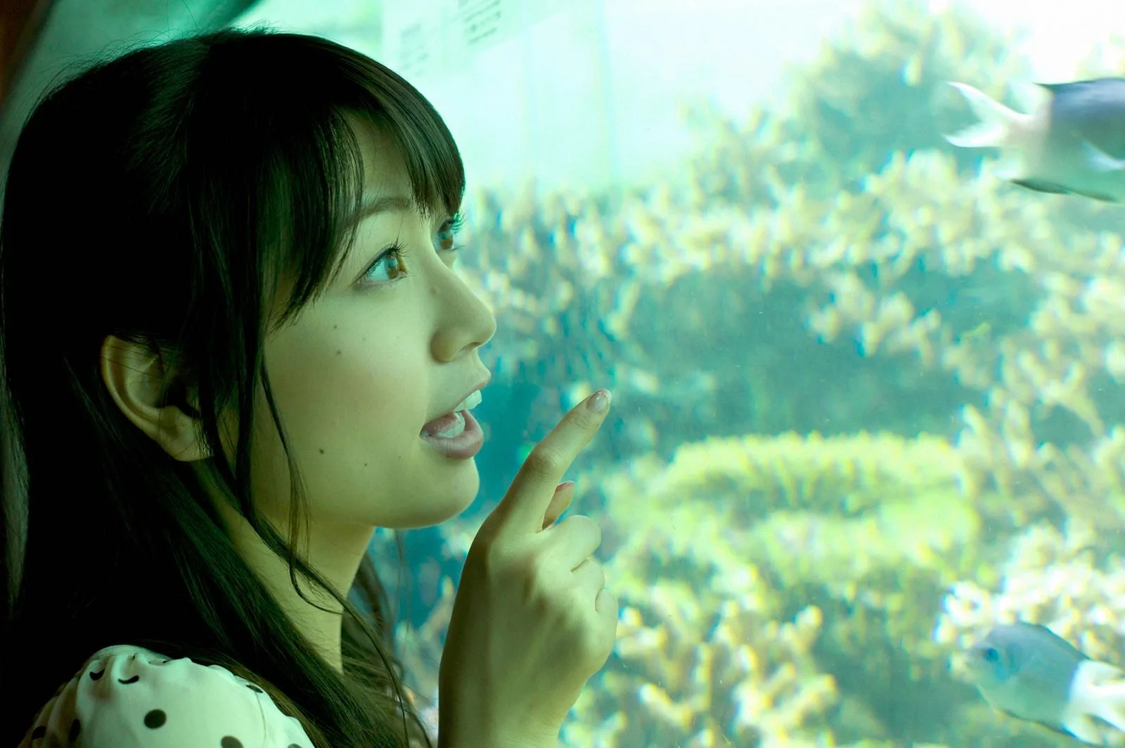 [WBGC]NOAlbum ảnh .95 Chihiro Terada - 42